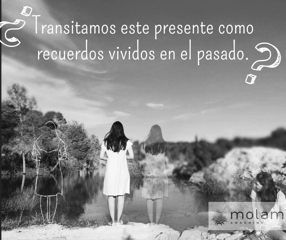 Archivo de imagen de molamcoaching.com